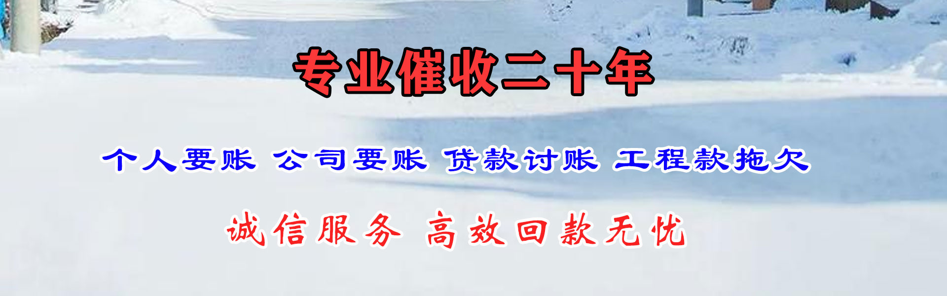 阜宁追账公司